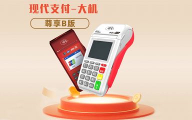 金飞天大POS